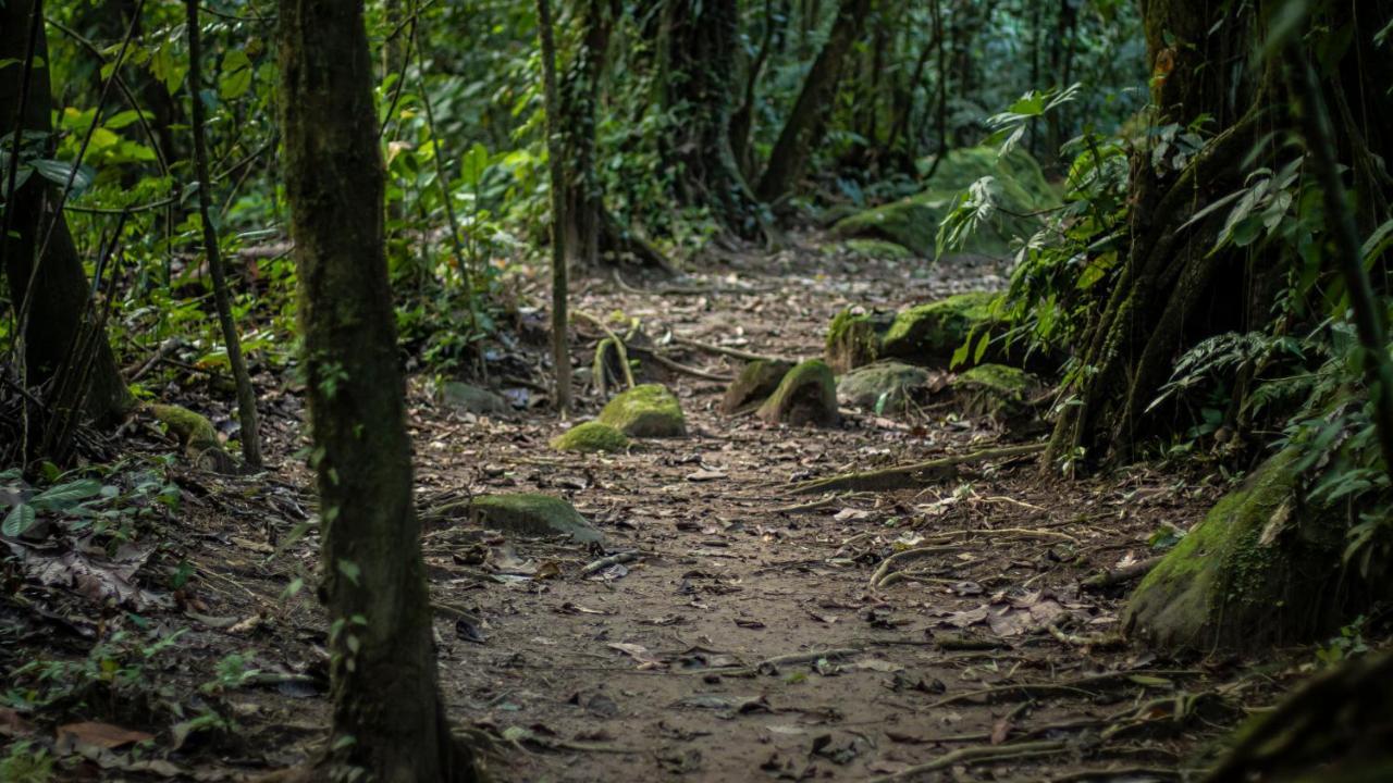 Hotel Rancho Cerro Azul La Fortuna Esterno foto